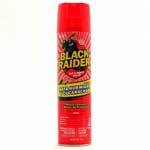 BLACK RAIDER ANT RONEY KILLER