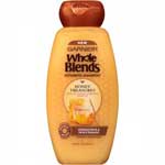GARNIER WHOLE BLENDS HNY TREASURES SHAMP