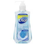 DIAL LIQ PUMP S.WATER