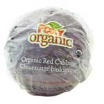 FOXY ORGANIC RED CABBAGE WRAPPED