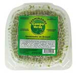 CAMPO VERDE GERMINADO DE BROCOLI