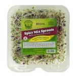 CAMPO VERDE SPICY MIX SPROUTS