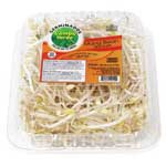 CAMPO VERDE GERM BEANS