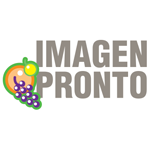 IMAGEN PRONTO DE: UVAS BLANCAS CHILE