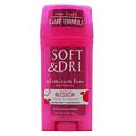 SOFT & DRI APPLE BLOSSOM DEODORANT