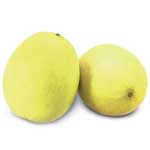 MELON HONEYDEWS US/HONDURAS