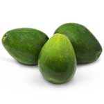 AGUACATES PR/REP DOM