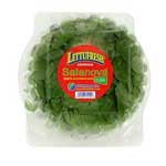 LECHUGA SALANOVA