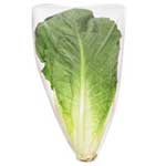 LECHUGA ROMAINE CELLO CALIFOR.
