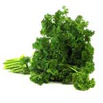 PEREJIL FRESCO EU