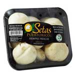 SETAS CELLO DEL PAIS