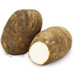 NAME FLORIDO COSTA RICA