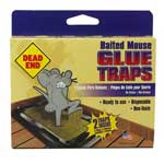 MOUSE GLUE TRAP